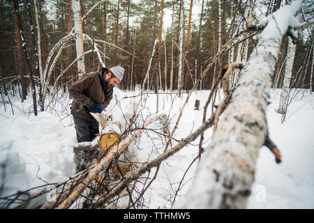 Coupe homme connectez-vous dans la forêt couverte de neige Banque D'Images