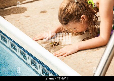 Fille jouant avec frog at poolside Banque D'Images