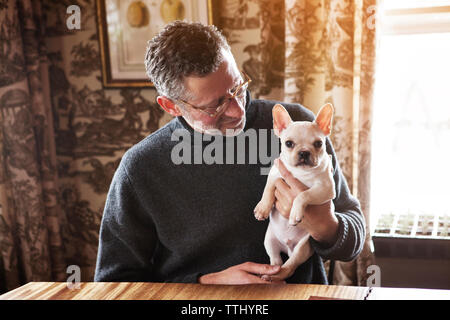 Man bouledogue français assis par table à la maison Banque D'Images