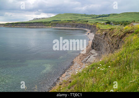 Kimmeridge Bay se trouve dans une zone spéciale de conservation marine, Dorset, England, UK Banque D'Images