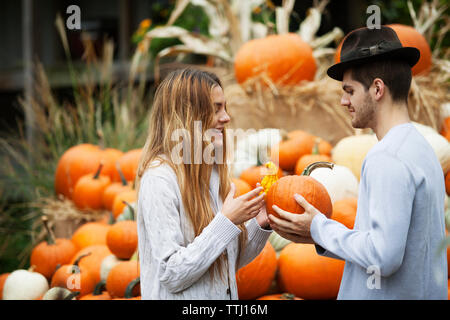 Heureux couple holding pumpkins at farm Banque D'Images