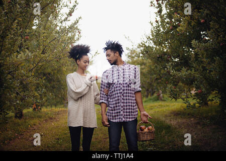 Couple standing in apple orchard Banque D'Images