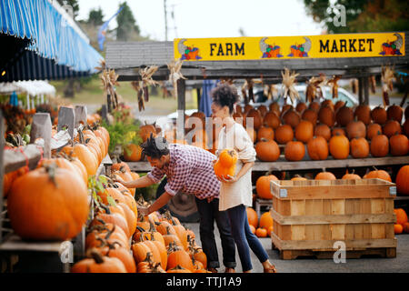 Vue latérale du couple shopping pumpkins at market stall Banque D'Images