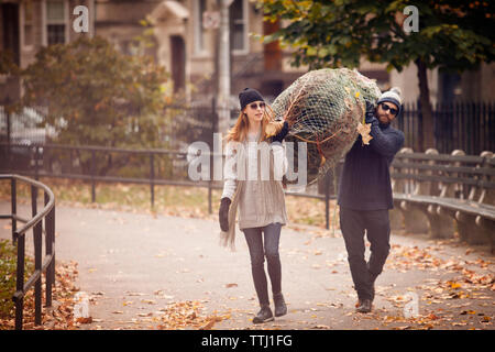 Couple carrying christmas tree while walking