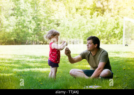 Père l'fleur pour Fille, assis sur les champs du park Banque D'Images