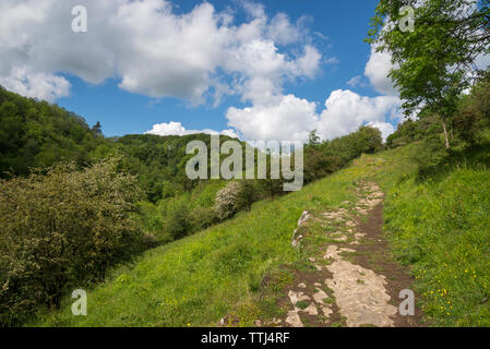 Belle journée d'été en Chee Dale près de Buxton, dans le parc national de Peak District, Derbyshire, Angleterre. Banque D'Images