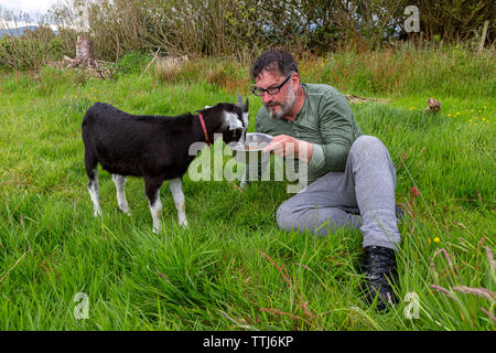 L'homme avec l'animal chèvre, comté de Kerry, Irlande Banque D'Images