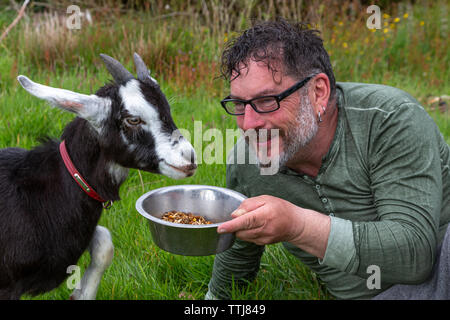 L'homme avec l'animal chèvre, comté de Kerry, Irlande Banque D'Images