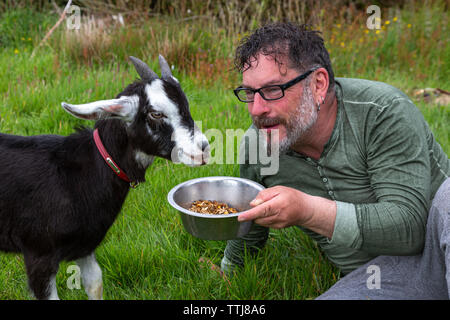 L'homme avec l'animal chèvre, comté de Kerry, Irlande Banque D'Images