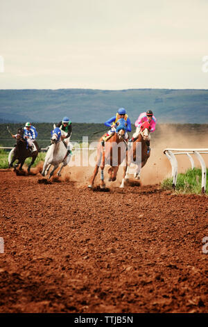 Course de chevaux sur terrain contre ciel clair Banque D'Images