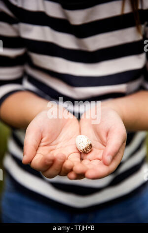High angle view of girl holding stone Banque D'Images