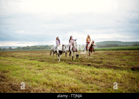 Femme amis montés sur des chevaux contre le ciel Banque D'Images