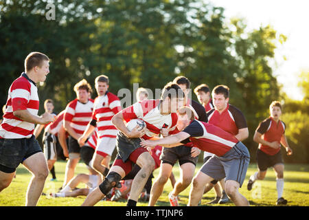 L'équipe de rugby sur le terrain de jeu Banque D'Images