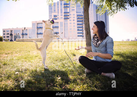 Happy woman looking at dog Playing with ball on grassy field contre ville Banque D'Images