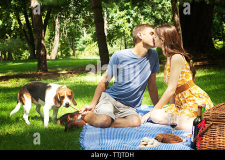 Beagle avec couple kissing in park Banque D'Images