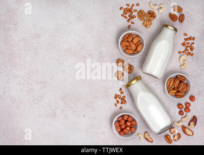 Lait de noix vegan, différents types de noix sur un fond clair. Vue de dessus. Banque D'Images
