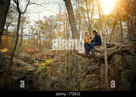 Couple sitting on tree trunk in forest Banque D'Images