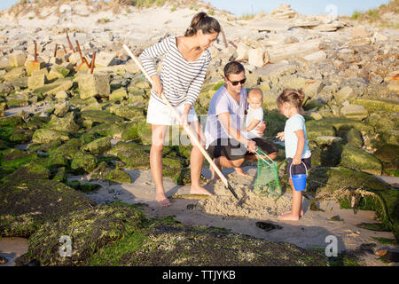 Famille à la recherche de palourdes à rocky shore of beach Banque D'Images