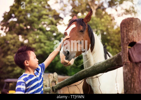 Boy stroking horse tout en se tenant dans ranch Banque D'Images