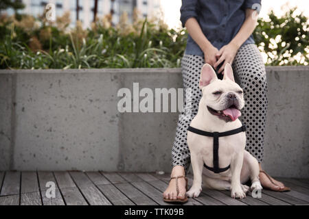 La section basse de femme assise avec chien sur mur de retenue du park Banque D'Images