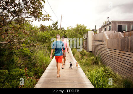 Vue arrière du gay men walking avec chis sur boardwalk par chambre Banque D'Images