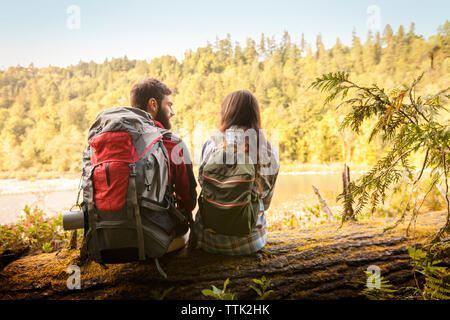 Couple talking while sitting on fallen tree trunk in forest Banque D'Images