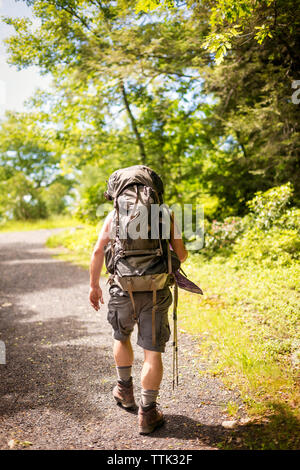 Vue arrière de l'homme marchant sur la route de gravier dans l'aménagement forestier Banque D'Images