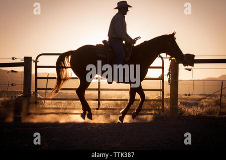 Silhouette man riding horse farm Banque D'Images