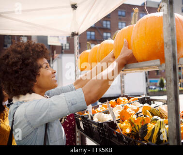 Woman picking up plateau de citrouille dans le marché Banque D'Images