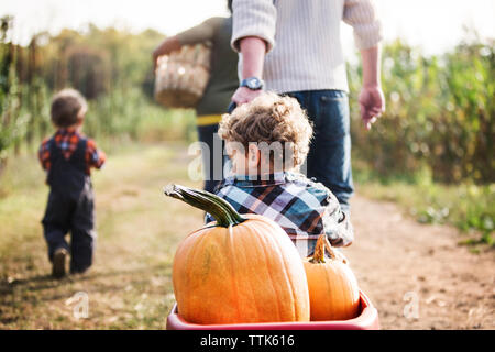 Vue arrière de la marche de la famille sur terrain Banque D'Images