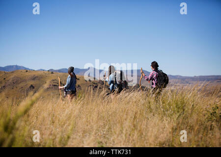 Vue arrière de la marche d'amis sur terrain contre ciel clair Banque D'Images