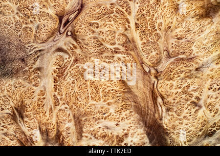 Du vrai bois noueux pour rayé photo imprime voiture décoration d'intérieur en bois exotique, beau modèle pour l'artisanat ou texture de fond de l'art abstrait Banque D'Images