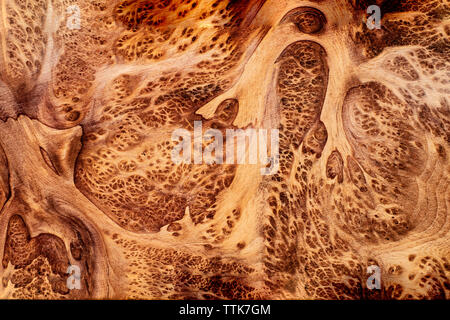 Du vrai bois noueux pour rayé photo imprime voiture décoration d'intérieur en bois exotique, beau modèle pour l'artisanat ou texture de fond de l'art abstrait Banque D'Images