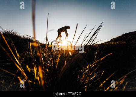 Jeune homme est à cheval sur un vélo lors d'un lever du soleil. La Slovaquie Banque D'Images