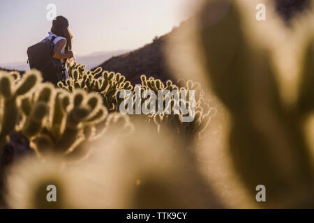 Femme marche avec sac à dos dans le désert entre les montagnes près de cactus Banque D'Images