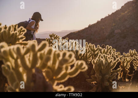 Femme marche avec sac à dos dans le désert entre les montagnes près de cactus Banque D'Images