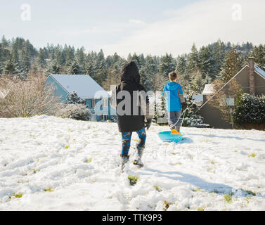 Vue arrière des frères marche sur terrain couvert de neige Banque D'Images