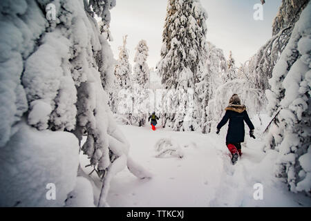 Vue arrière de randonneurs marche sur sentier au milieu d'arbres couverts de neige Banque D'Images