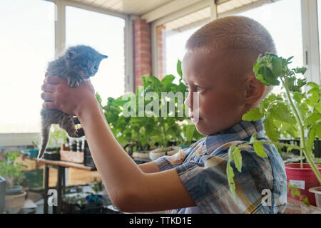 Boy holding kitten in plant nursery Banque D'Images