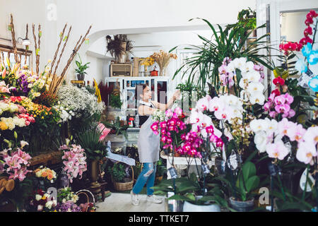 Fleuriste femme travaillant dans le magasin de fleurs Banque D'Images