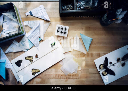 Vue aérienne d'insectes artificiels et des documents sur la table en bois Banque D'Images