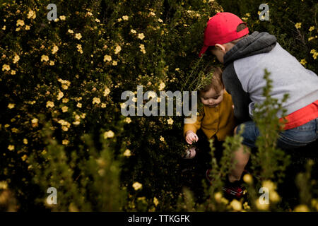 Garçon d'aider sa petite sœur dans un buisson de fleurs Banque D'Images