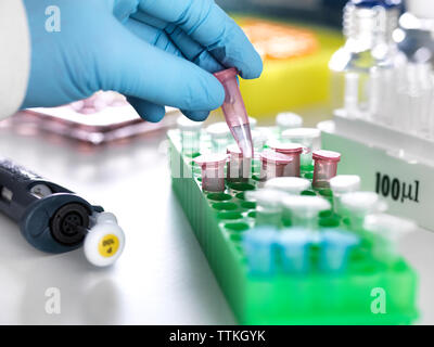 La main coupée de l'expert scientifique en mettant l'Eppendorf contenant échantillon scientifique dans le rack Banque D'Images