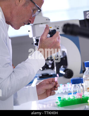 Vue latérale du male scientist pipetting échantillons en flacon sur le tableau au laboratoire Banque D'Images