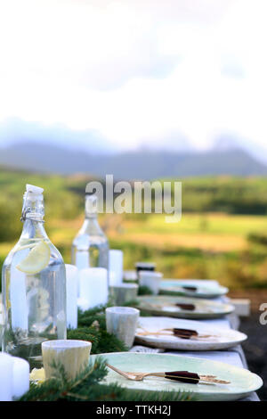 Assiettes vides avec des bouteilles d'alcool et de cup organisé sur tableau de l'arrière-cour Banque D'Images