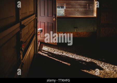 Portrait of baby boy peeking through doorway dans maison abandonnée Banque D'Images