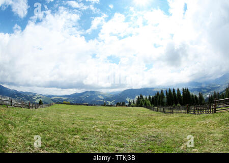 Forest Green Hills dans les montagnes Banque D'Images