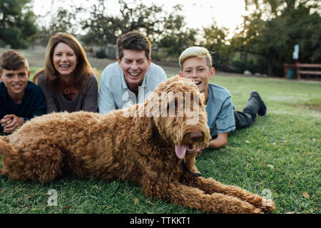 Famille heureuse avec Irish Wolfhound lying on grassy field at park Banque D'Images