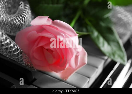Belle rose rose avec tissu décoratif sur les touches de piano, Close up Banque D'Images