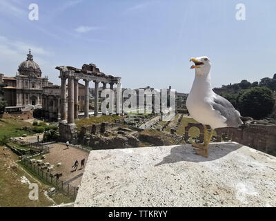 Mouette à l'Imperial Forums sur sunny day Banque D'Images